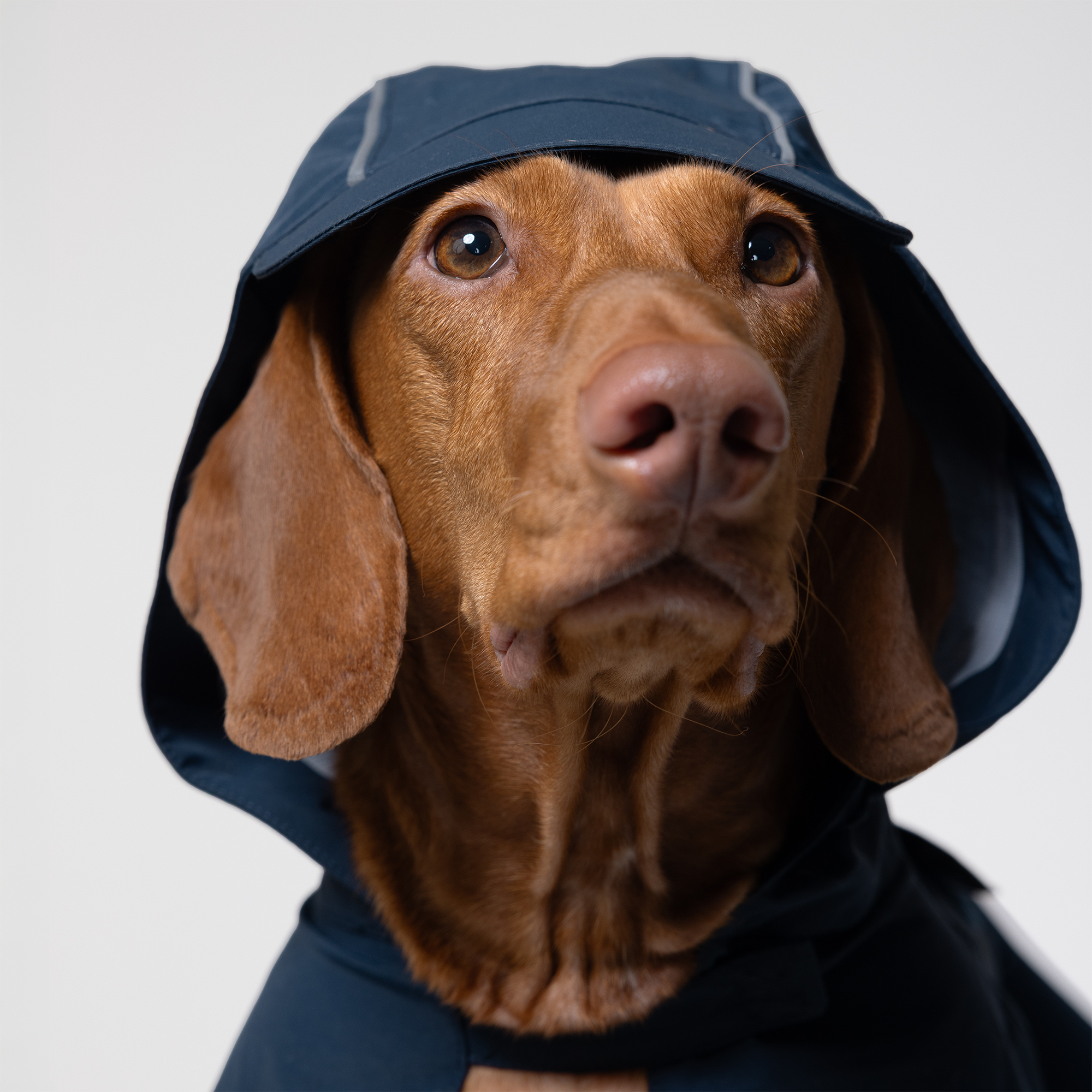 Trail Hound Rain Vest