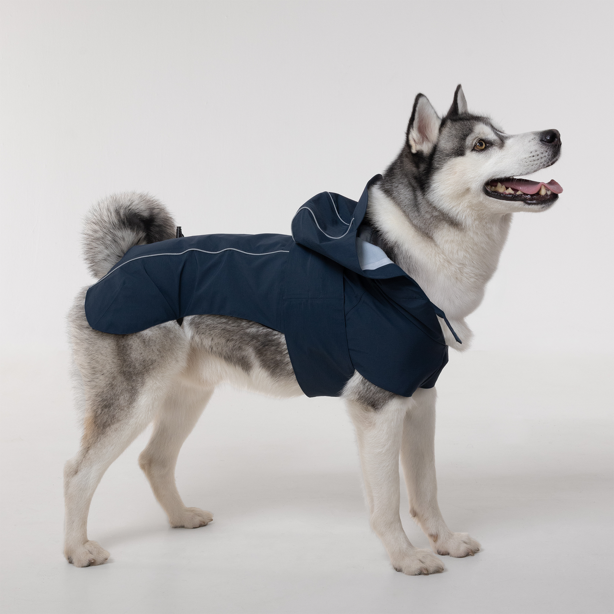 Trail Hound Rain Vest