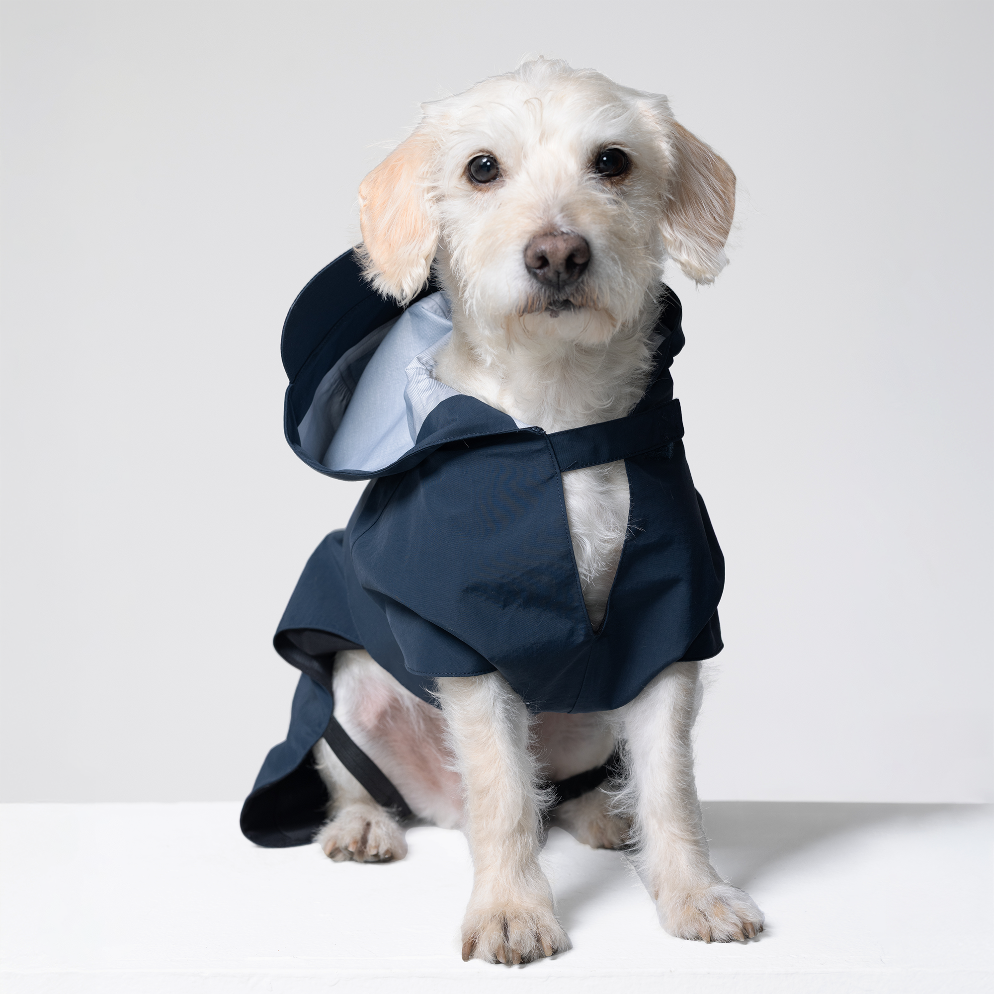 Trail Hound Rain Vest