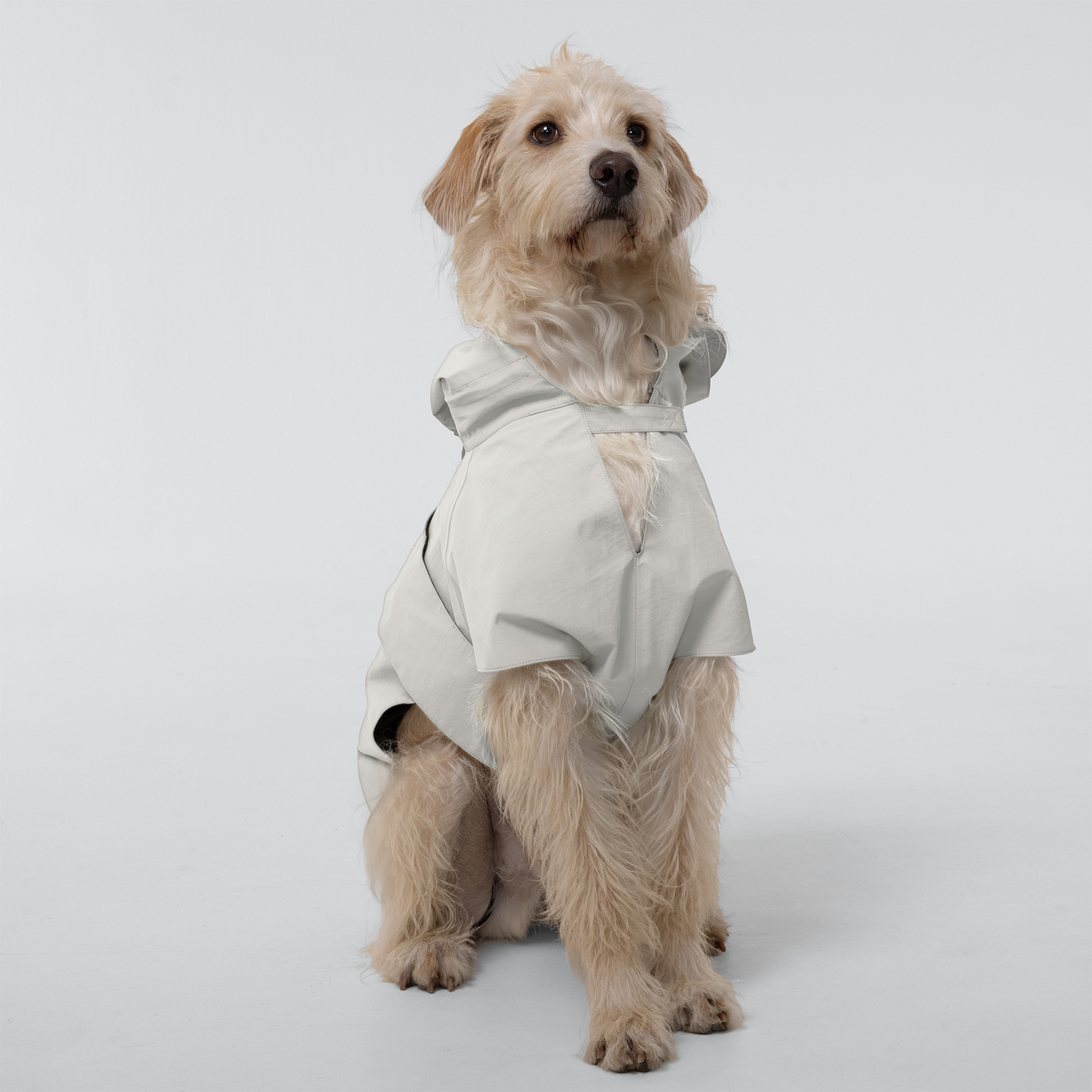 Weatherman Umbrella - Trail Hound Rain Vest