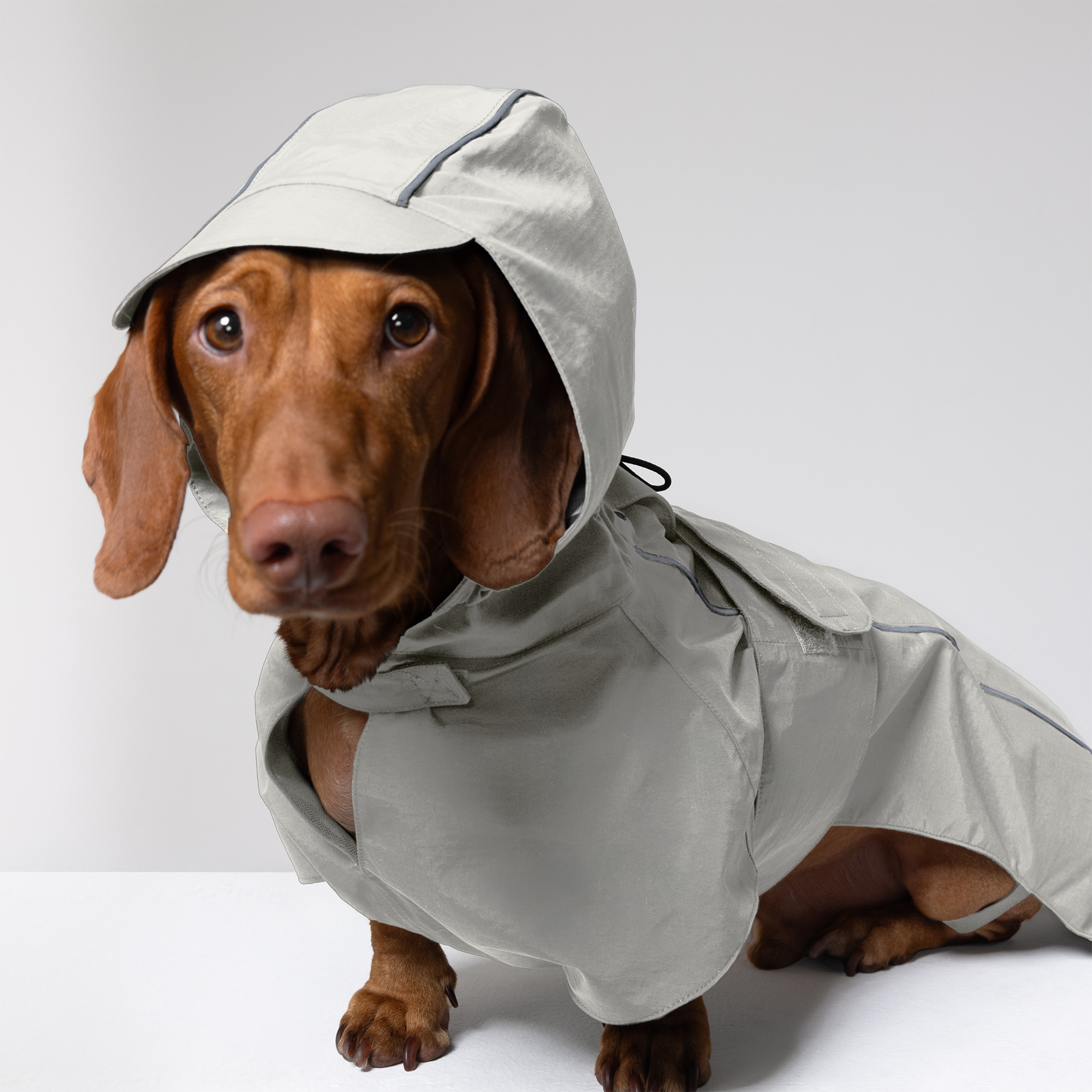 Trail Hound Rain Vest